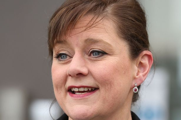 Plaid Cymru says Assembly election is referendum on health services in North Wales