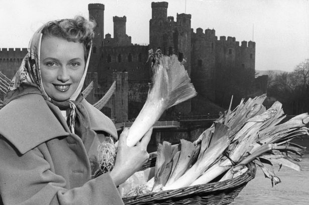 Nostalgic photos show how St David's Day was celebrated across North Wales in years gone by