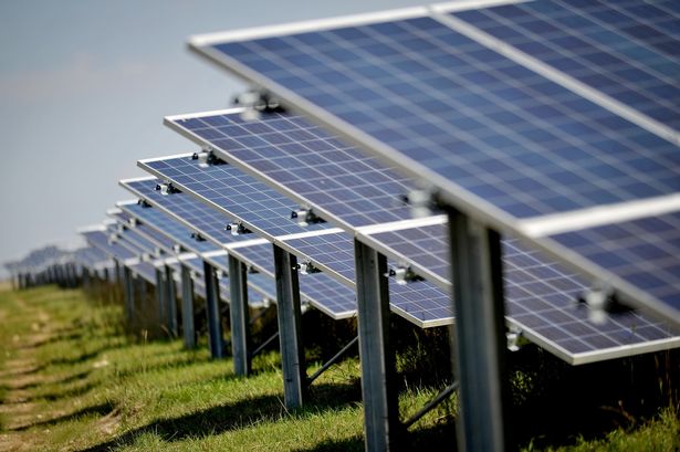 Plans for Flintshire solar farms 'the size of 15 football pitches' rejected