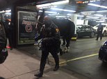 Police horse bucks his rider for wild dash around Times Square