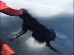 Dramatic footage shows a dog being saved from a freezing reservoir after being stranded on ice for THREE days