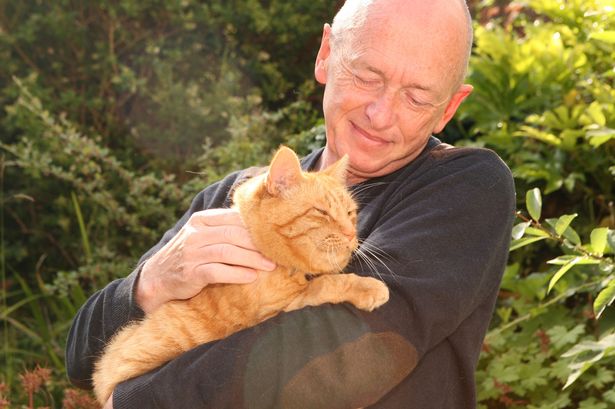 Llandudno owner of award-winning cat left devastated at beloved pet's disappearance