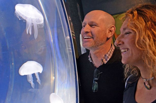 Anglesey Sea Zoo launch new exhibits with help of One Show regular Mike Dilger