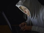 Child blocks on porn breach adults' rights, says the UN: Official claims new laws interfere with the right to freedom of expression and privacy 