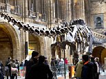 Dippy the Diplodocus bows out from the Natural History Museum after 112 years