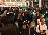 Mayhem at airports as immigration system inexplicably crashes – causing huge lines and hours of disruption on one of the busiest travel days of the year – but officials dismiss suggestion of hacking