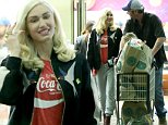 Blake Shelton and Gwen Stefani take her son Apollo shopping in Whole Foods