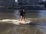 Surfer catches a wave on Brisbane's notoriously flat river