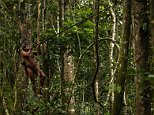 The Amazon tribe that kills and eats monkeys 