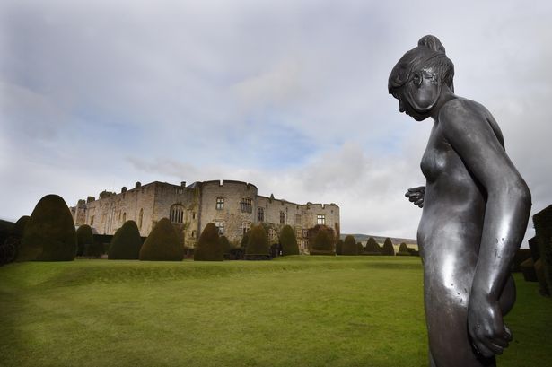 Wrexham launches third bid for poppy wave sculpture