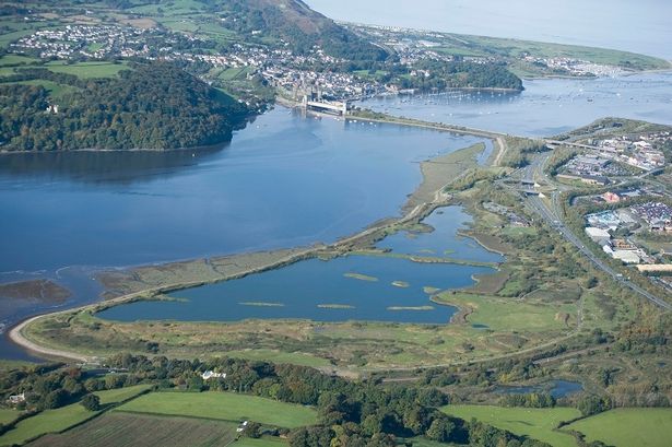 Bird flu confirmed in dead duck found at RSPB Conwy reserve