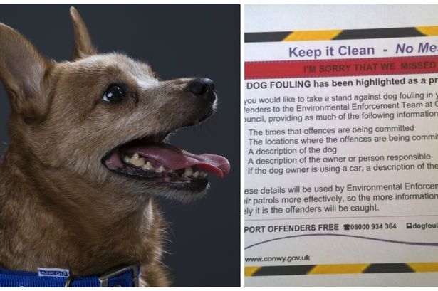 Conwy 'snooping' dog poo poster encourages residents to spy on neighbours claims AM