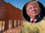 Trump's planned US Mexico border wall might be virtual