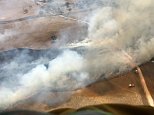 'Catastrophic' fire danger in NSW as 45 bush fires burn