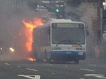 Sydney commuter jumps on burning bus to tap off Opal card