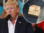 Middle schooler 'threw wooden block at Trump motorcade'