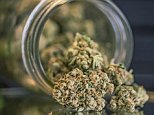 DRIVE-THRU marijuana shop will open in small Colorado town