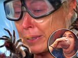 Lisa Curry faces spiders on I'm A Celebrity