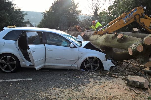 Strong winds blamed after tree crushes car in Menai Bridge putting driver in hospital
