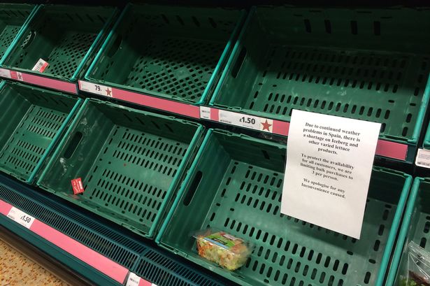Supermarkets RATIONING lettuces in vegetable shortage crisis