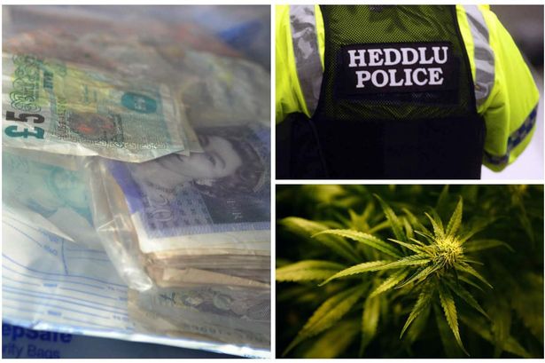 'Large amount' of cannabis and cash seized in Anglesey drugs raid