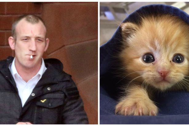 'Laughing' Llandudno kitten killer spared jail after traumatising kid who tried to save it
