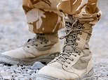 Government to shut down Iraq war veterans inquiry