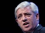 Campaign to oust Bercow is undignified, says Soames
