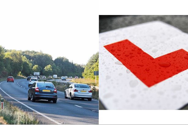 Learner driver arrested on A55 with 'large quantity of drugs'
