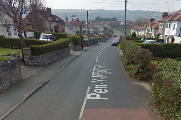 Dashcam footage appeal after Holywell police incident