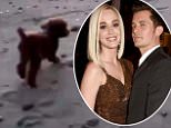 Orlando Bloom seen with Katy Perry's dog after split