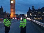 Person falls off Westminster Bridge