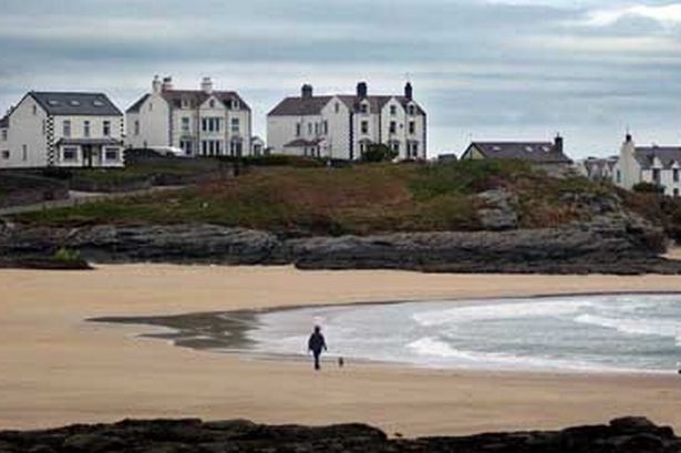 Anglesey dog owners warned over potentially fatal substance on island's beaches