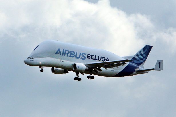 Watch massive Airbus Beluga come in to land at Hawarden