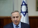 Netanyahu 'offered unity govt' as part of peace bid