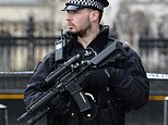 Palace of Westminster security `proportionate´ – anti-terror chief