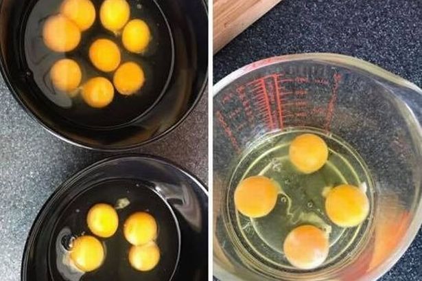 Aldi gets 10 out of 10 with clean sweep of double-yolkers