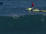 WA surfing comp halted as sharks swarm the water