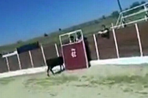 Watch hysterical moment Holywell man is chased by bull on Madrid stag weekend