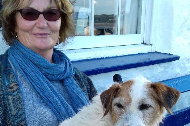 Grandmother drowned off Anglesey trying to save her dog Sweep