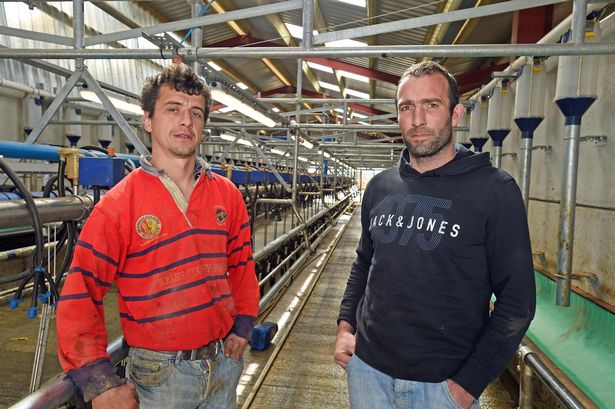Anglesey farmers forge ahead with £3m dairy project without permission
