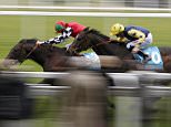 Robin Goodfellow's racing tips: Best bets for May 6