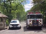 New York's Central Park sees two bodies found in two days