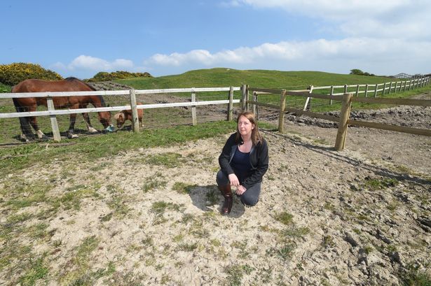 Anglesey stable boss claims to be '£4,000 out of pocket' after water repair works 'disaster'