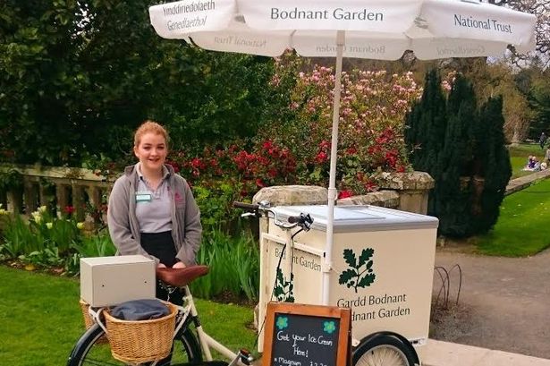 Fancy riding Bodnant Garden ice cream bike as a summer job?