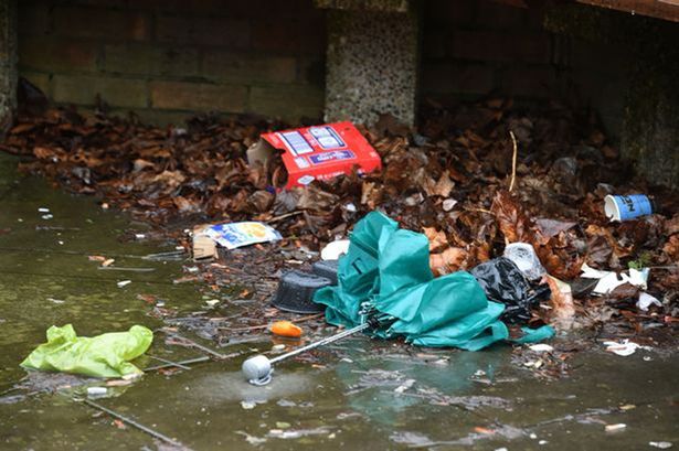 Councils 'seek clarification' over how private litter firm operates