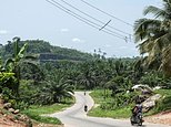 The superhighway threatening Nigeria's tropical rainforest