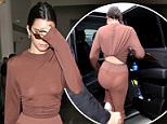 Braless Kendall Jenner flashes her nipples again