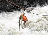 Dog swings in on zipline to rescue China landslide victims