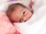 Premature babies not disadvantaged at school, says study